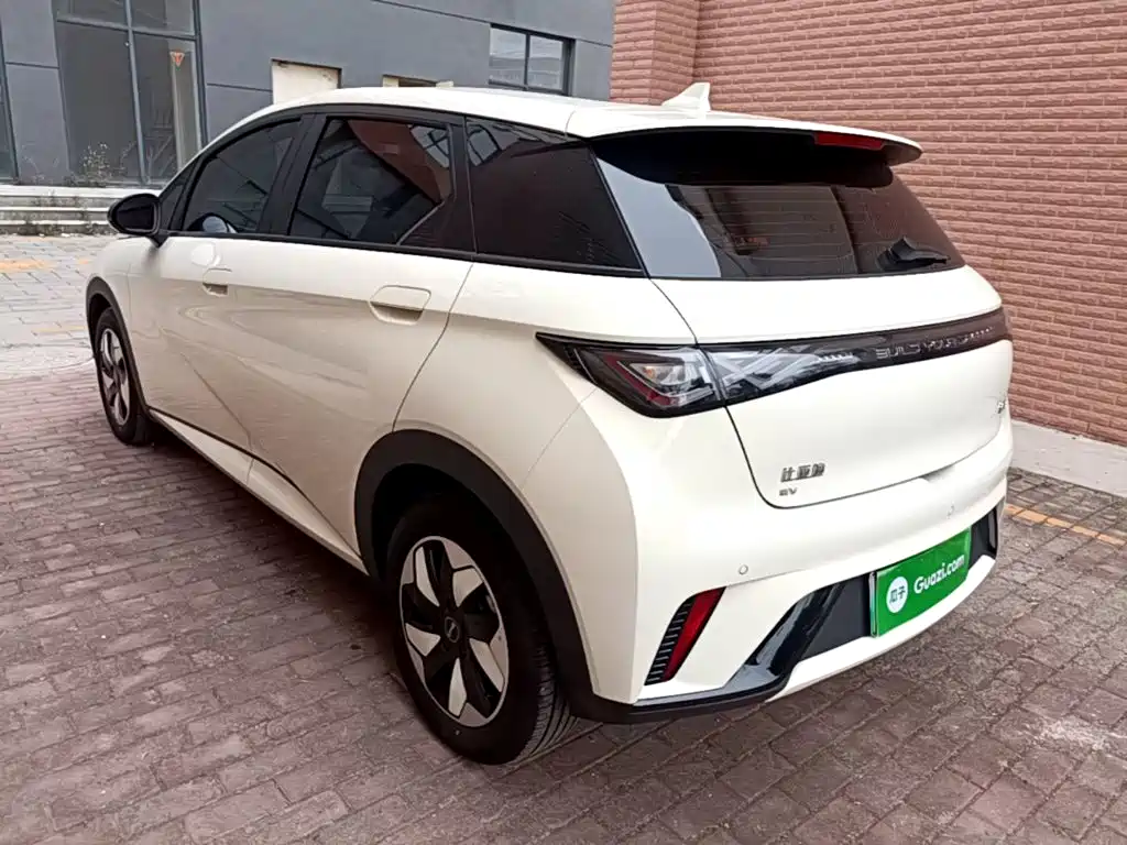 2026 BYD Dolphin