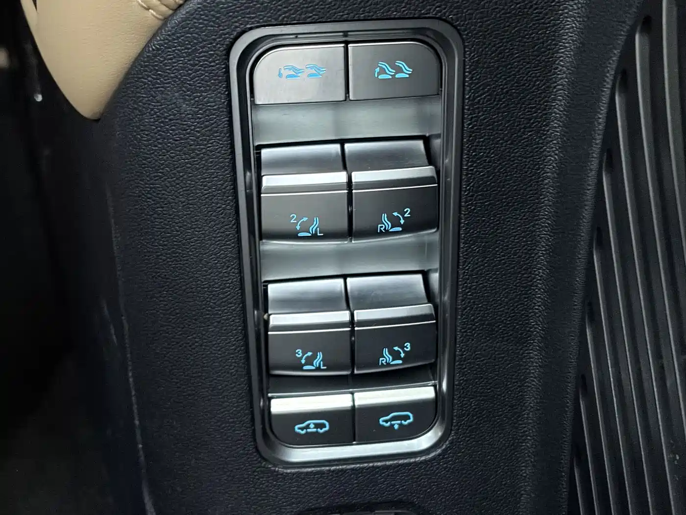 FANG CHENG BAO LEOPARD 8