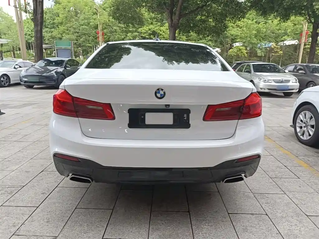 BMW 5 Series 2018 525Li M Sport Package фото 6