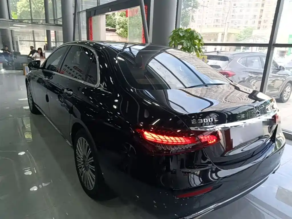 Mercedes-Benz E-Class 2023 E 300 L Luxury фото 5