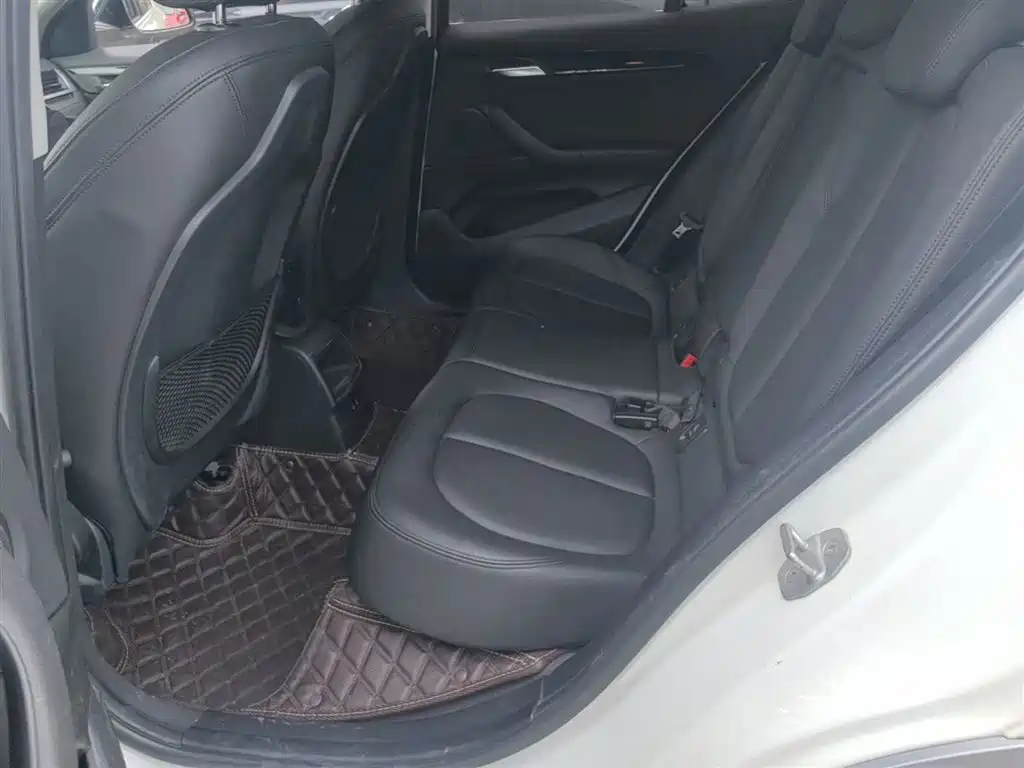 BMW X2 (Import) 2019 sDrive20i M Off-Road Package China VI фото 17
