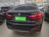 صورة 20 - BMW X6