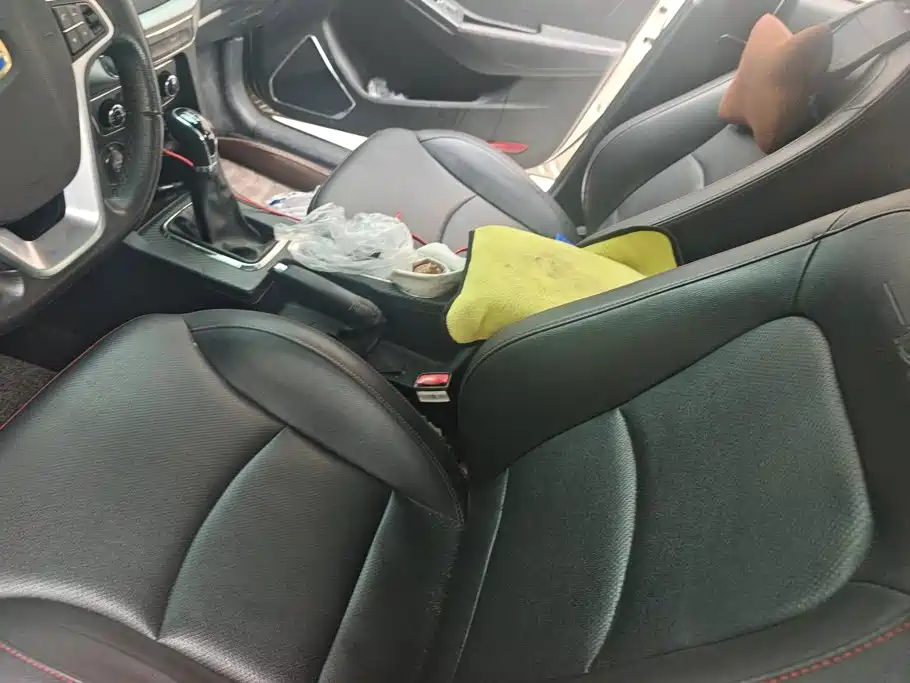 Фото 9 - Geely Vision