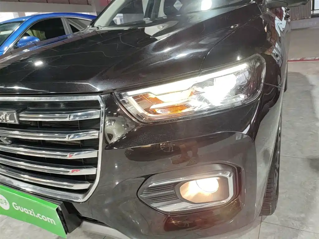 Haval H6 2020 2.0GDIT Automatic Platinum Champion Edition фото 24