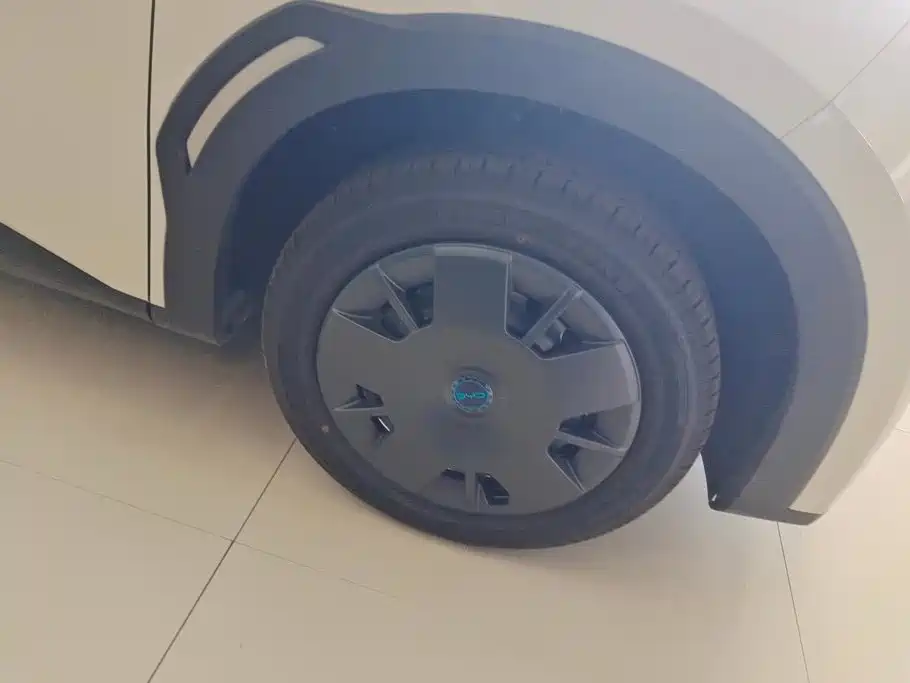 BYD Seagull 2026 2025 Smart Drive Edition 305km Vitality Version