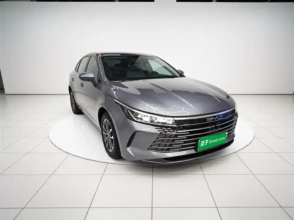 BYD Destroyer 05 2024 Glory Edition DM-i 55KM Luxury фото 4