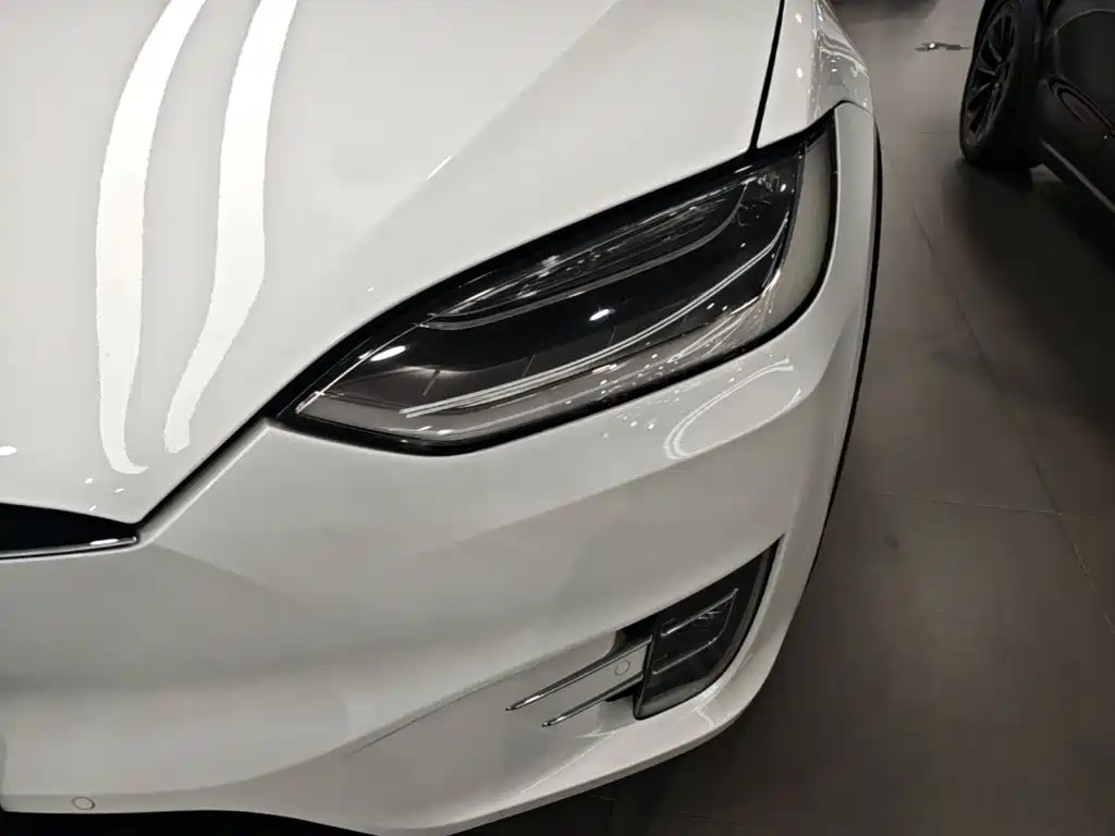 Фото 24 - Tesla Model X