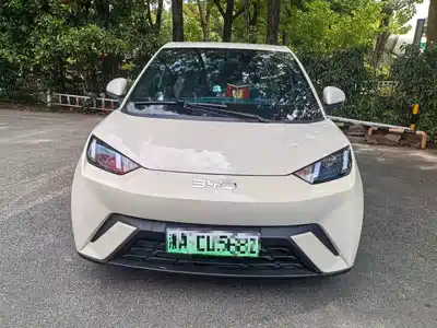 BYD Seagull