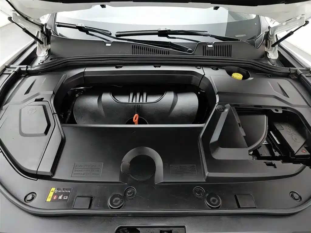 WEI PAI WEI BRAND VV5