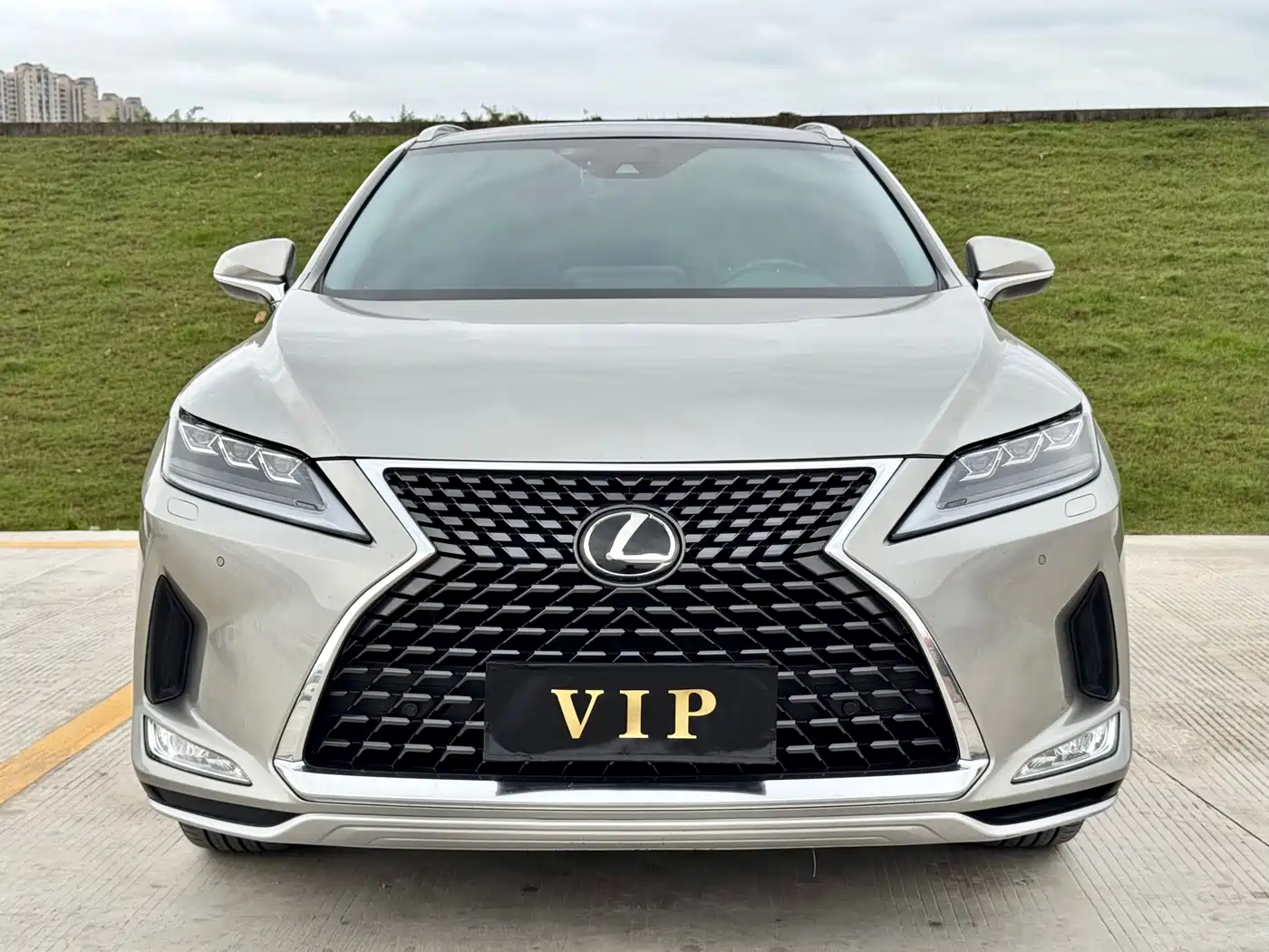 Lexus RX 2020 300 4WD Elegance Edition China VI фото 2