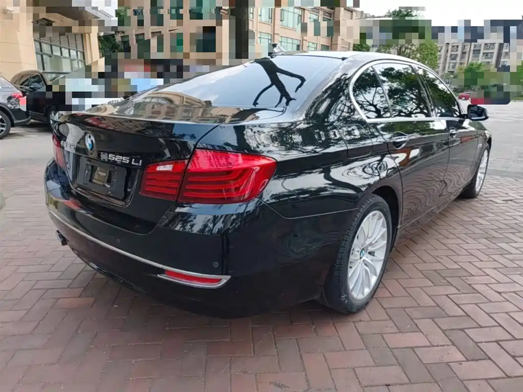 BMW 5 Series 2014 525Li Luxury Design Package фото 7