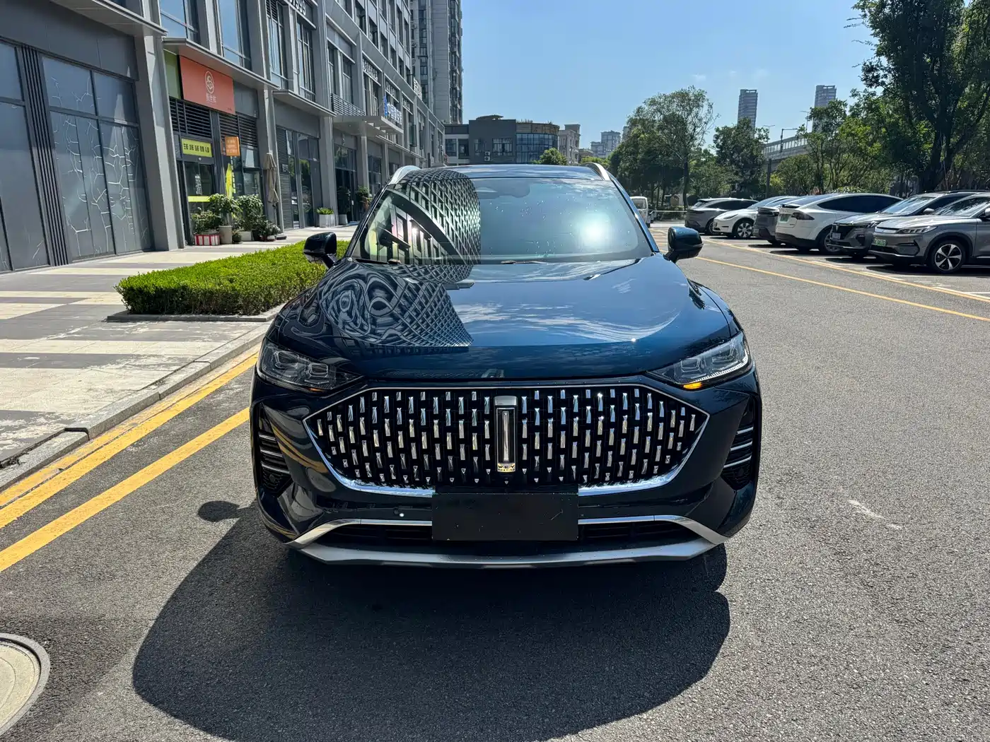 WEY Mocha 2021 2021 2.0T 4WD Premium Edition