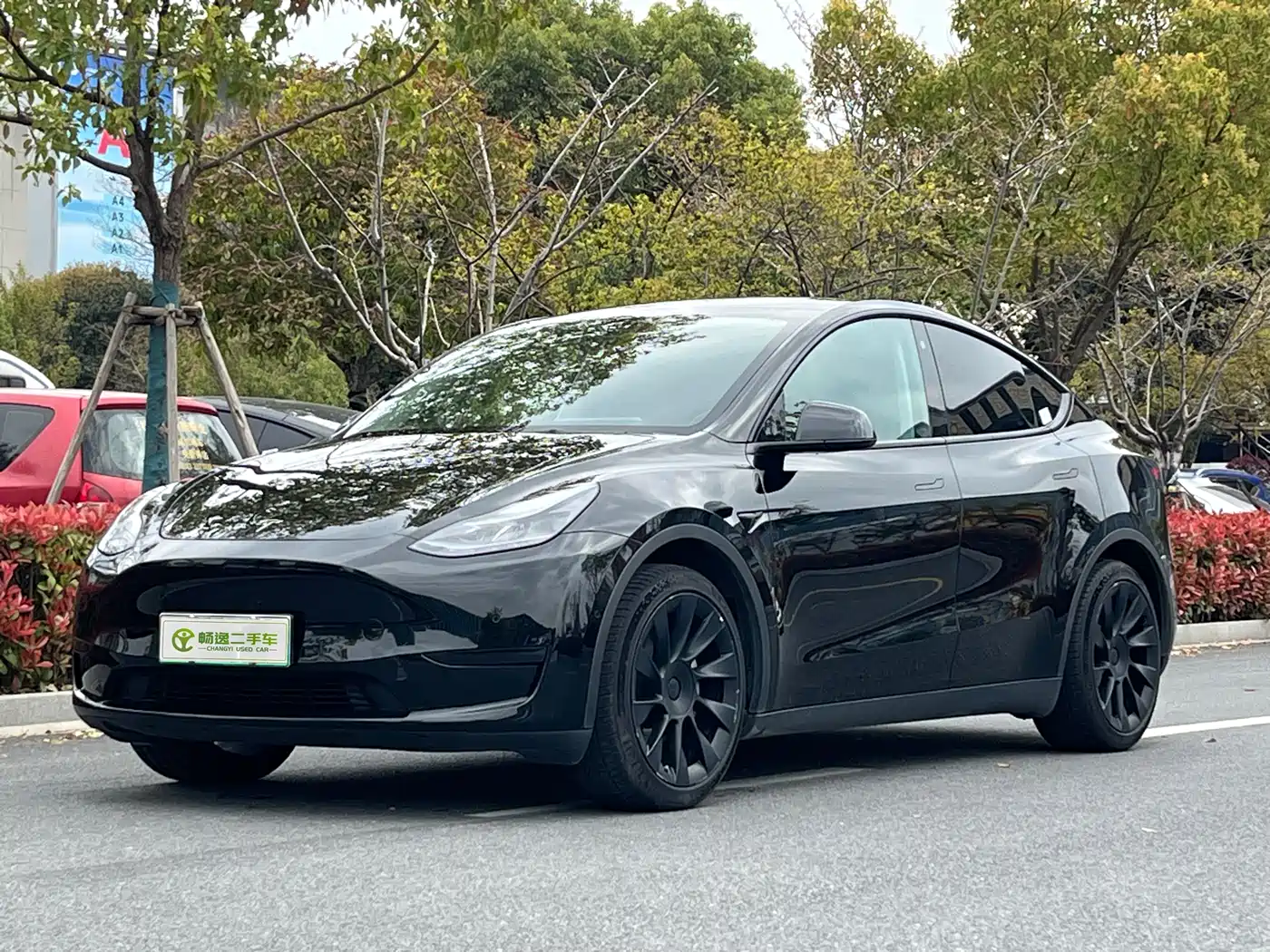 TESLA MODEL Y