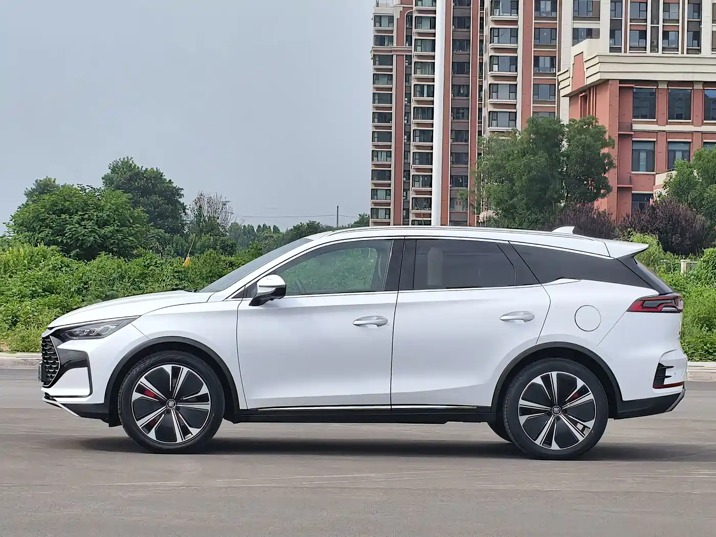 BYD Tang New Energy 2024 2024 DM-p Champion Edition 215KM 4WD Premium