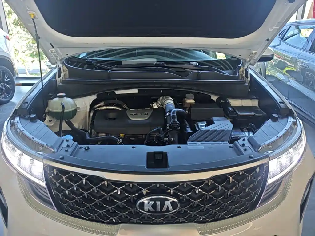 Kia KX5 2020 2019 1.6T Automatic 2WD Luxury Edition