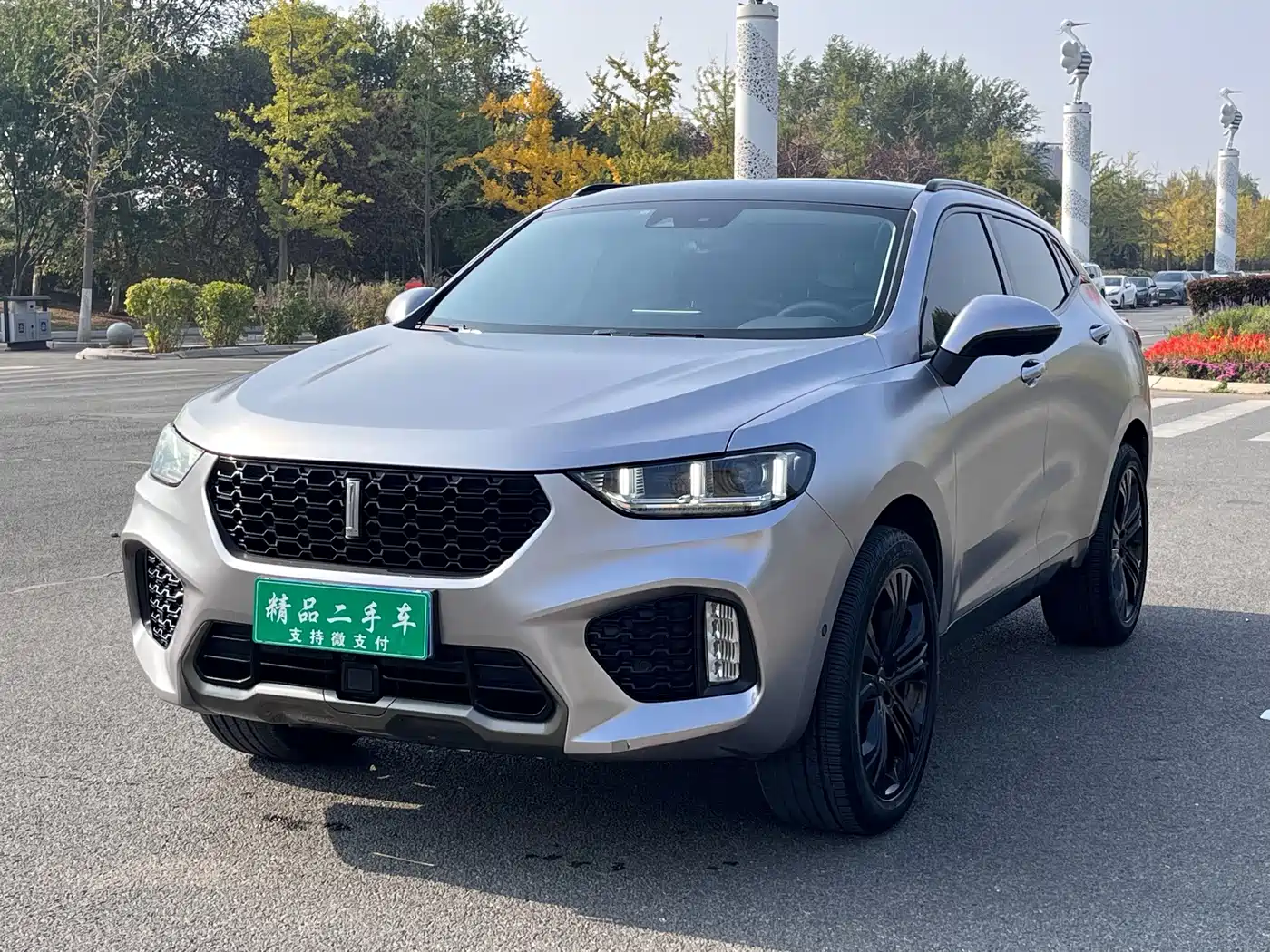 WEY VV5 2017 2017 2.0T Flagship Model