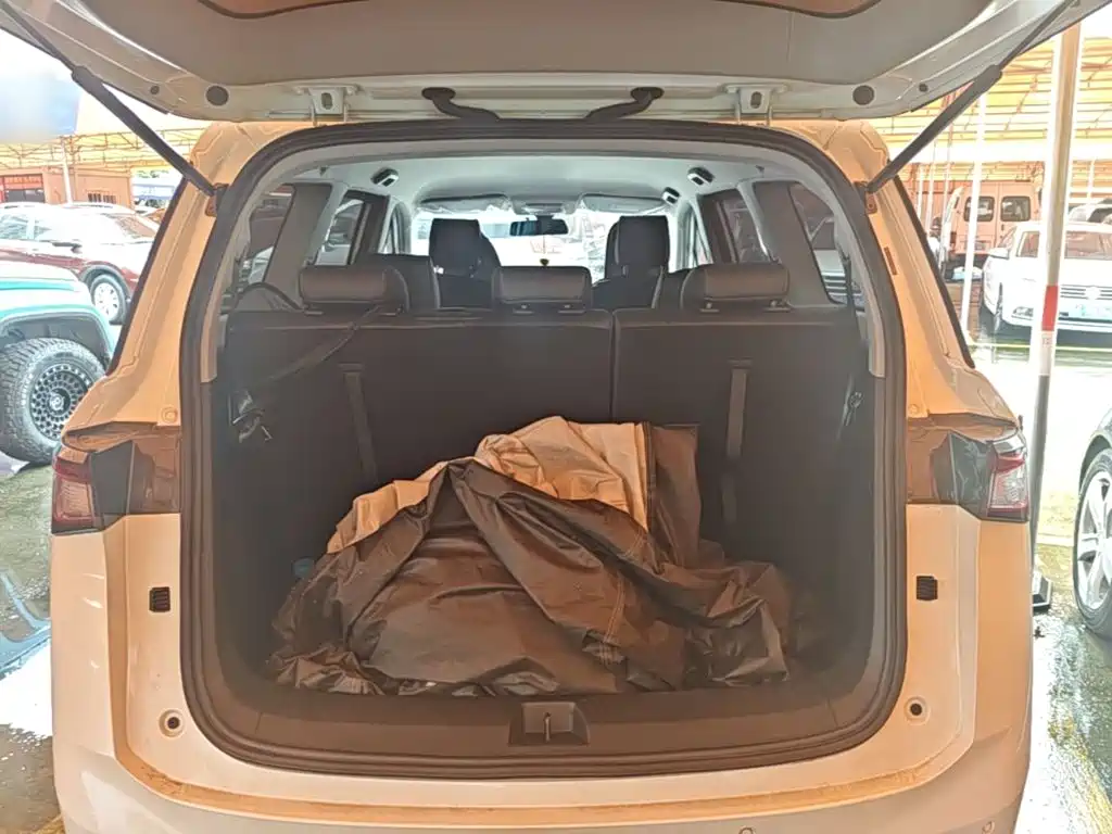 Wuling Motors Wuling Jiachen 2024 2022 1.5T Manual Comfort Vitality