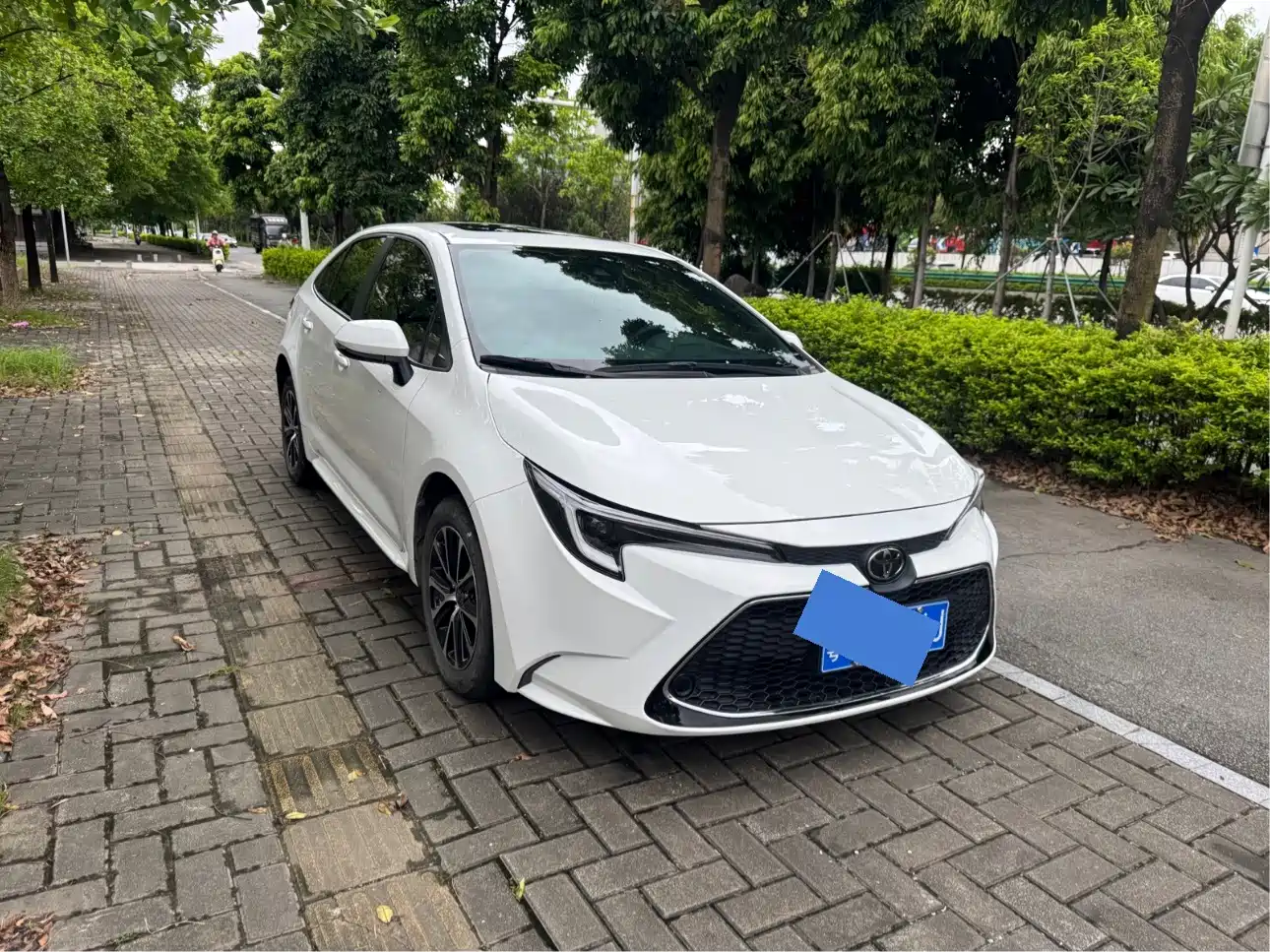 2025 Toyota Levin