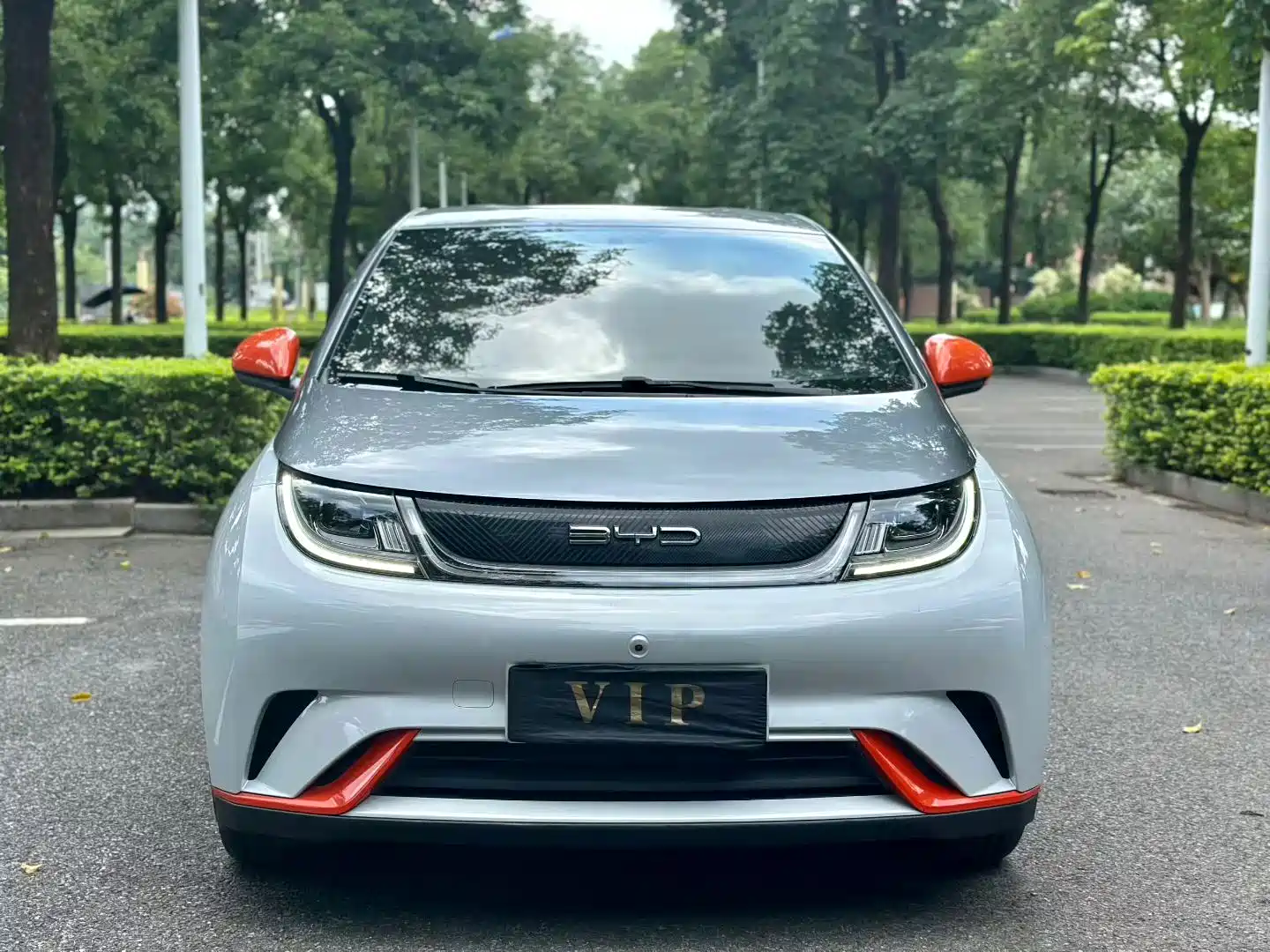 Фото 2 - BYD Dolphin