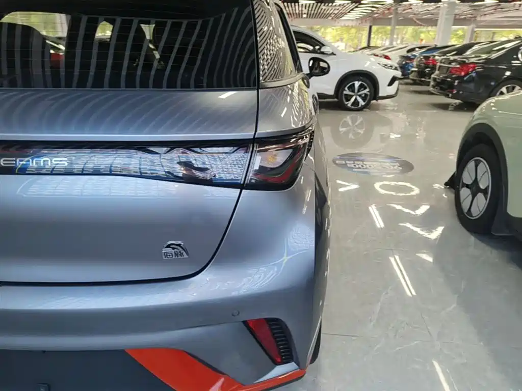 BYD Dolphin 2021 Model 405km Fashion Edition фото 8