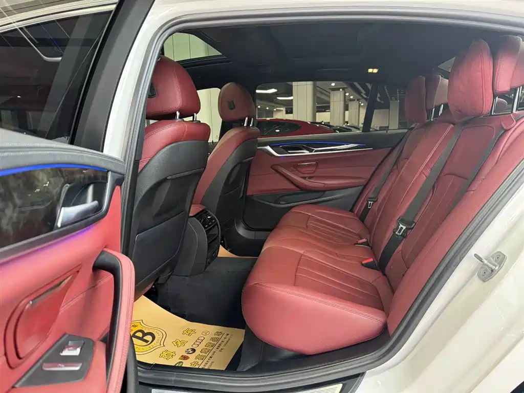 BMW 5 Series 2020 530Li Leading M Sport Package фото 8