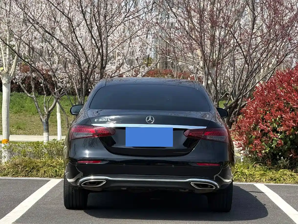 Mercedes-Benz E-Class 2019 Facelift E 300 L Sport Fashion фото 4