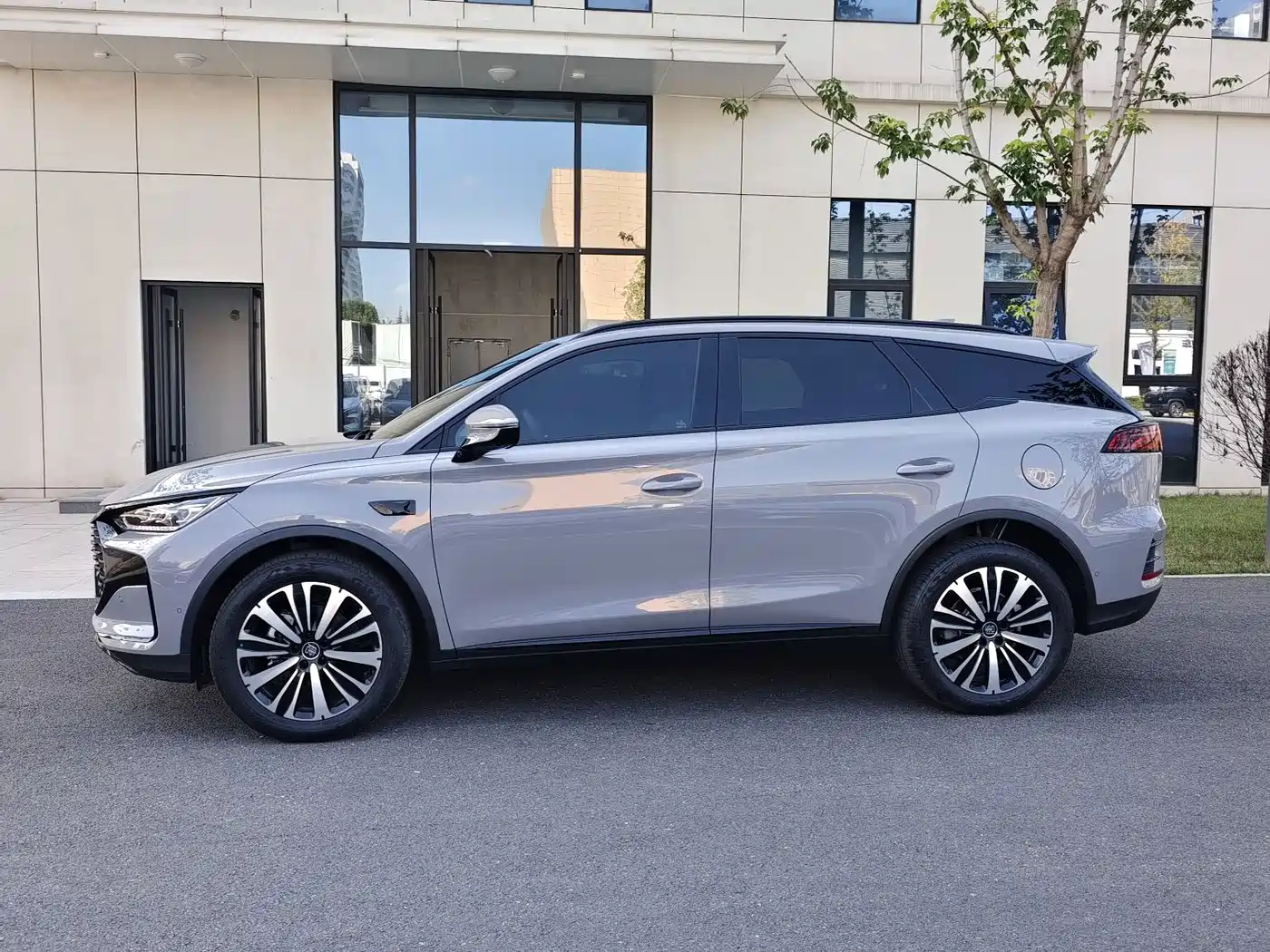 BYD Tang New Energy 2026 2026 DM-i 115KM Premium