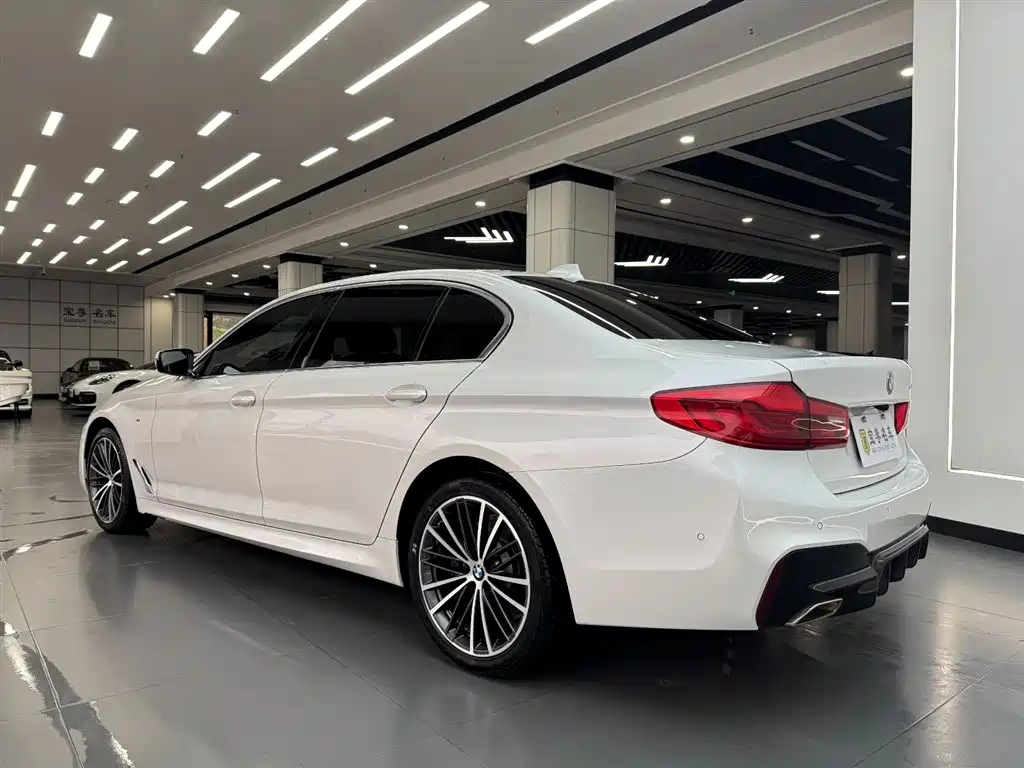 BMW 5 Series 2020 530Li Leading M Sport Package фото 5