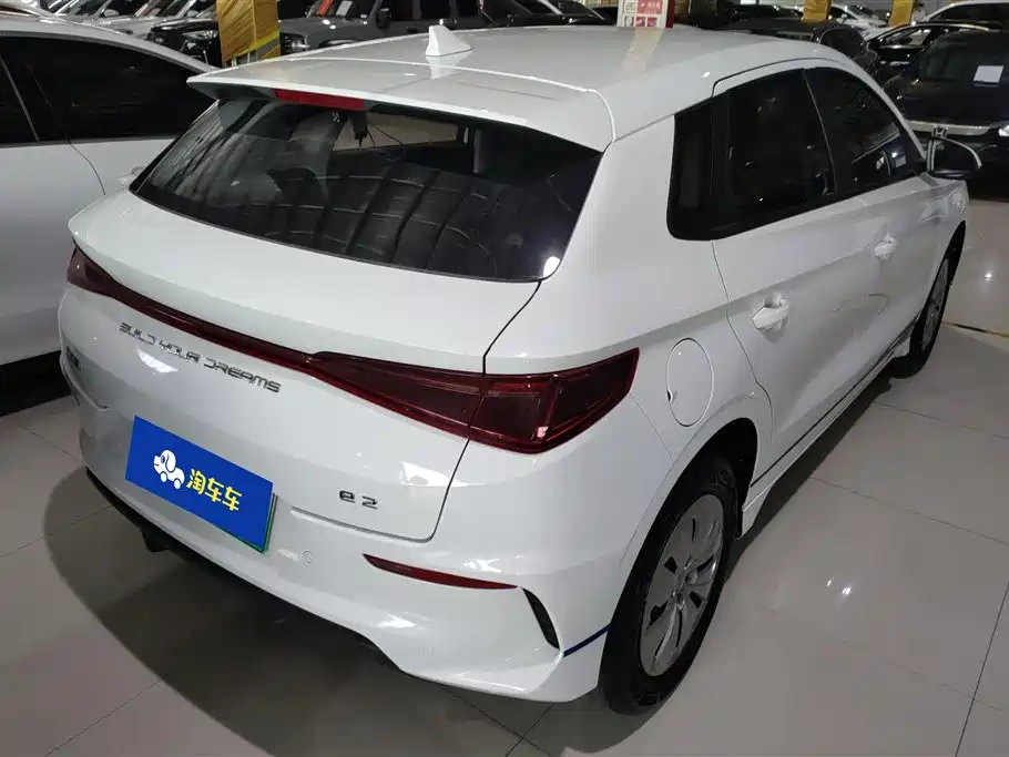 BYD e2 2019 Standard Range Yue·Standard Model фото 3