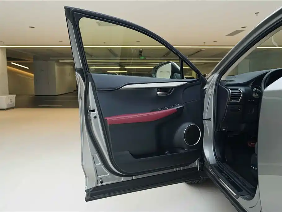 Lexus NX 2018 Model 300 FWD Fengxing Edition фото 14