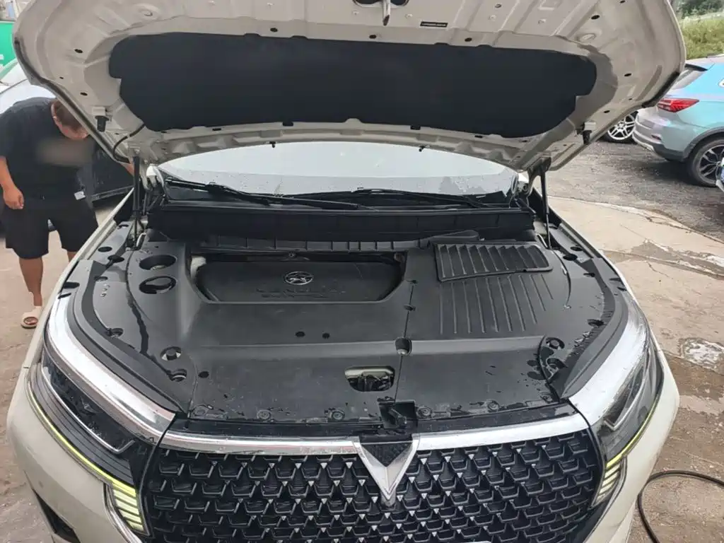 Venucia Star 2020 2020 260T Automatic 48V Mild Hybrid Turbo Star Enjoy Edition