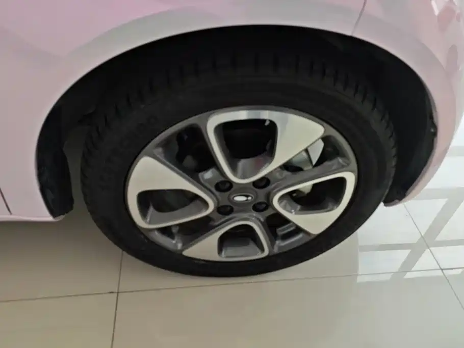 Ora White Cat 2022 2020 305km Luxury