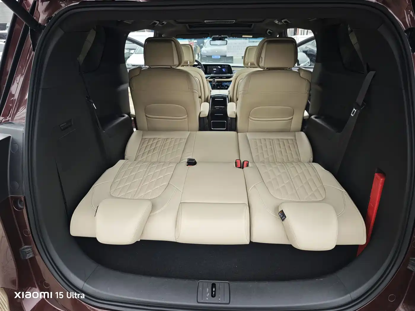 Buick GL8 2022 ES Landmark 653T Luxury фото 19