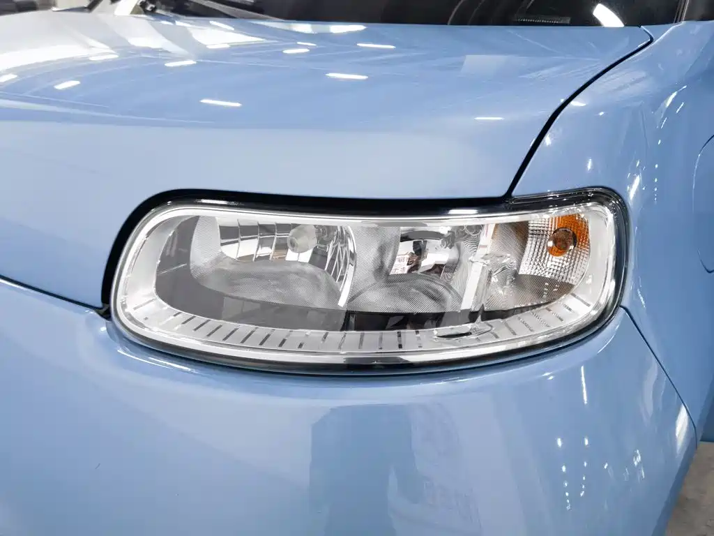 Ora White Cat 2021 2020 401km Flagship Model