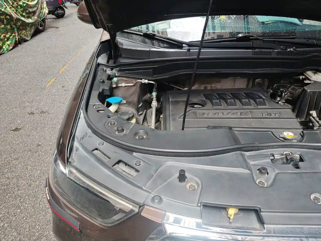 Фото 22 - Haval H6