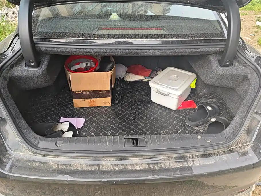 GEELY AUTOMOBILE BORUI