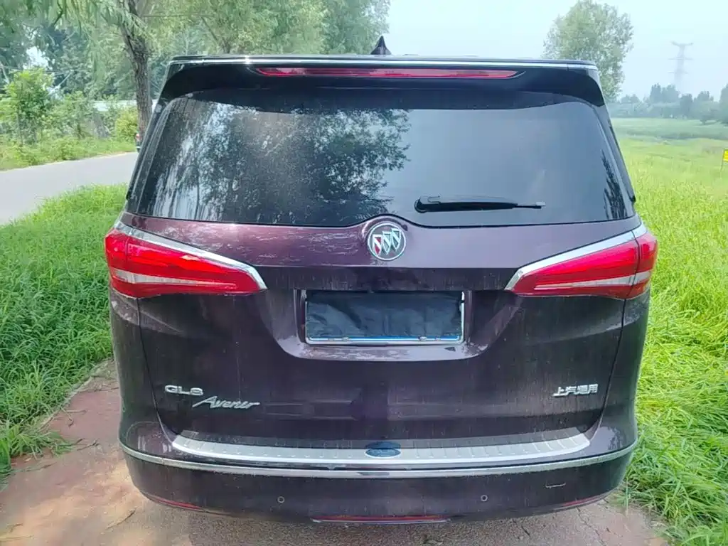 Фото 6 - Buick GL8