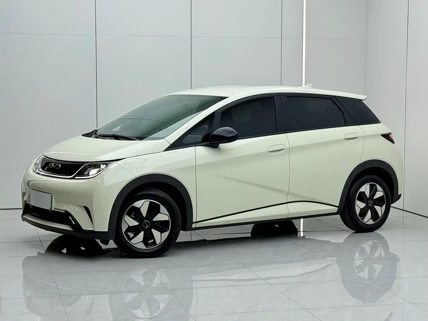 BYD Dolphin 2026 2025 420km Vitality Edition