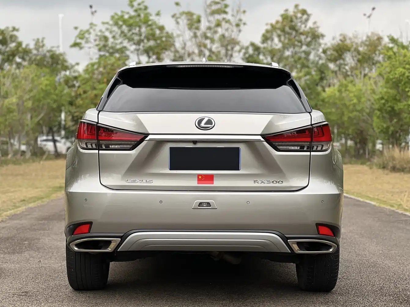 LEXUS RX