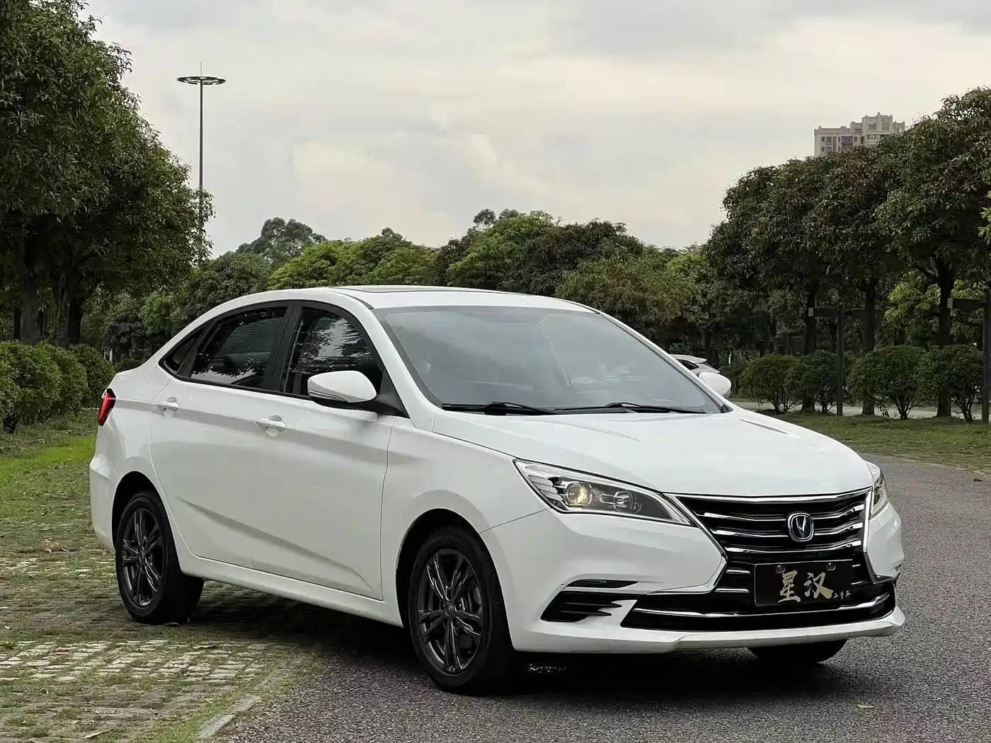 CHANGAN YIDONG DT