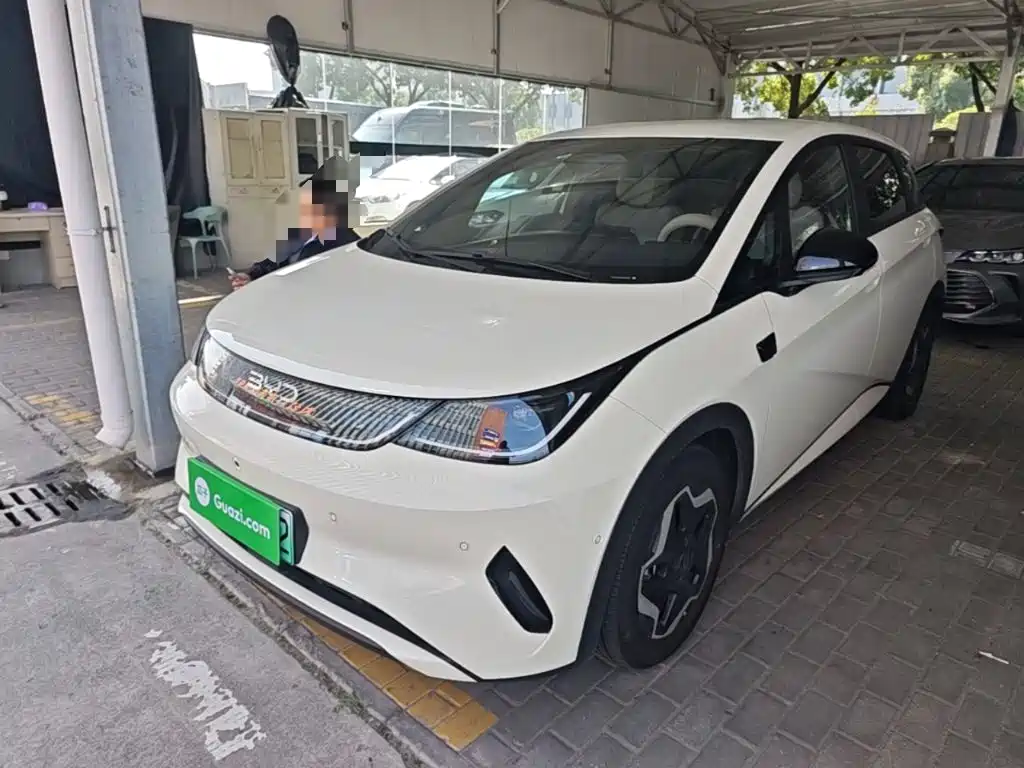Фото 1 - BYD Dolphin