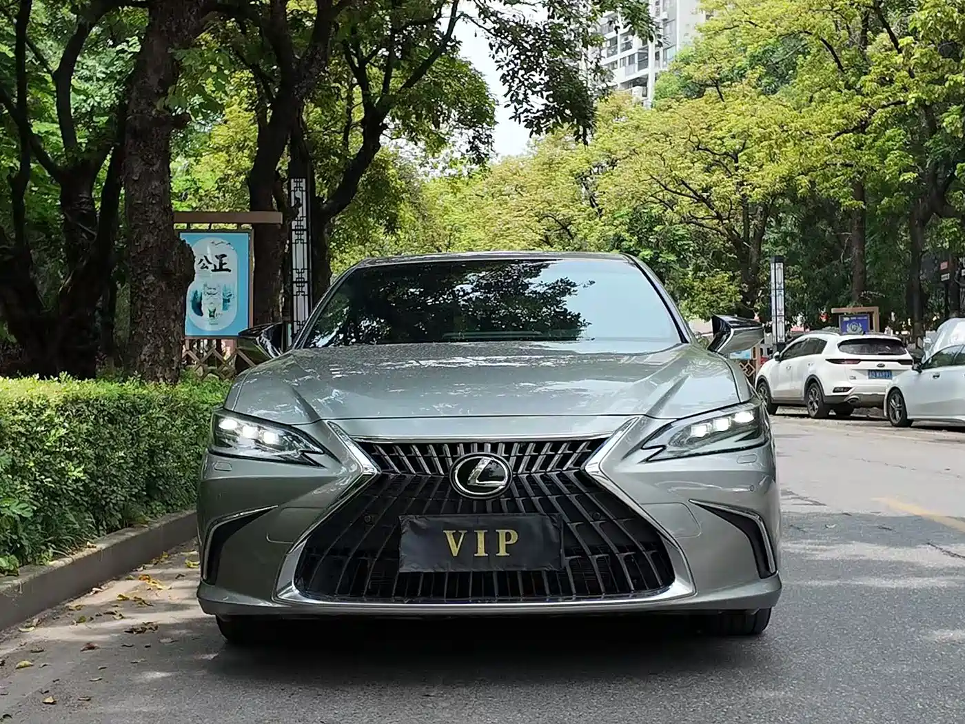 Фото 9 - Lexus ES