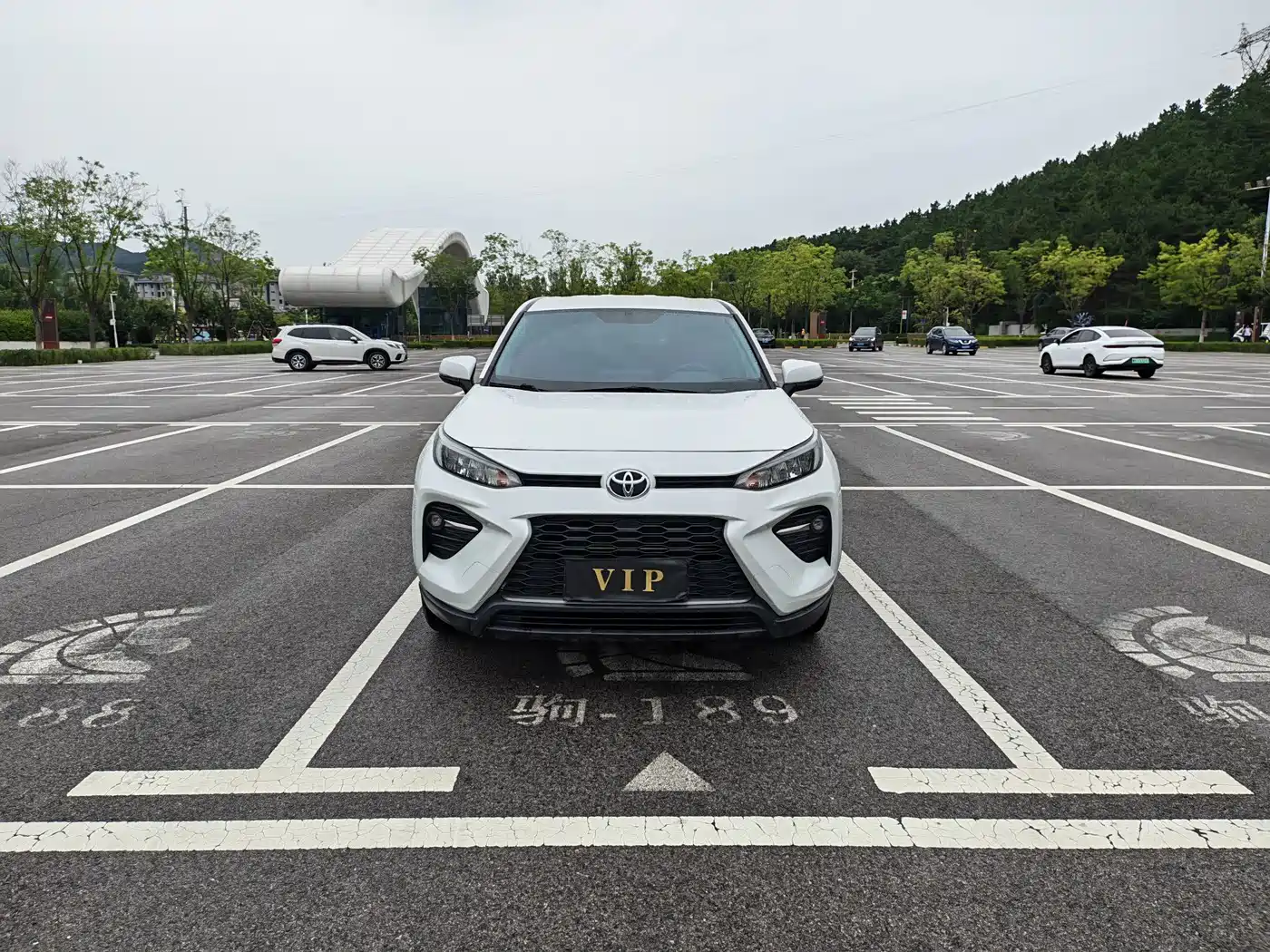 Toyota Wildlander 2023 2024 2.0L CVT FWD Leading Edition