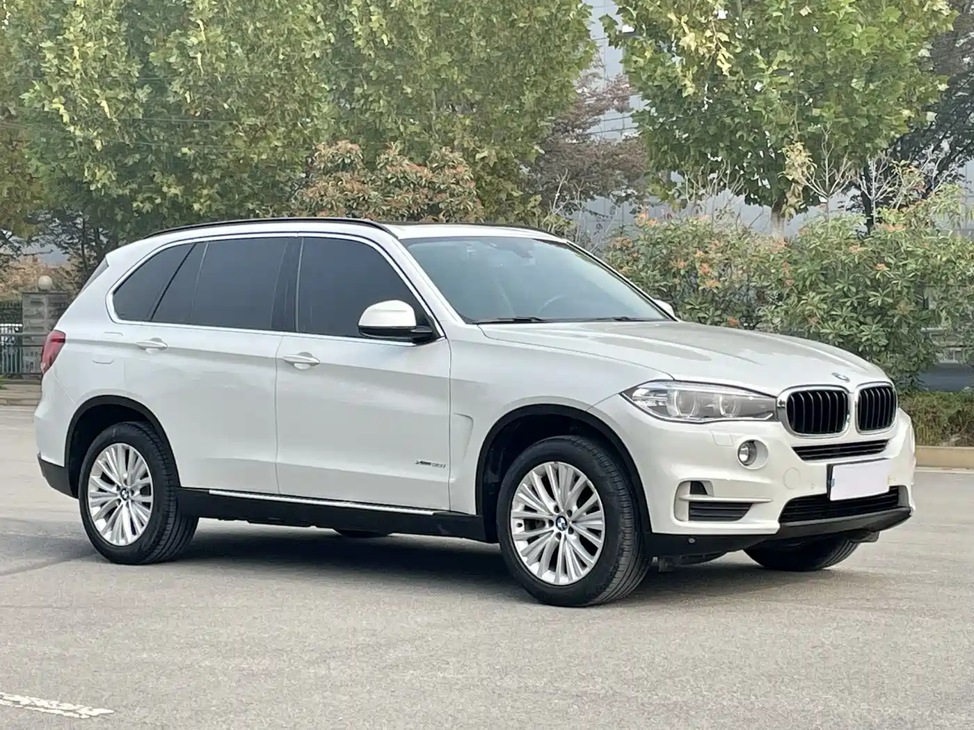 BMW X5 (Import) 2014 xDrive35i Elegance фото 3