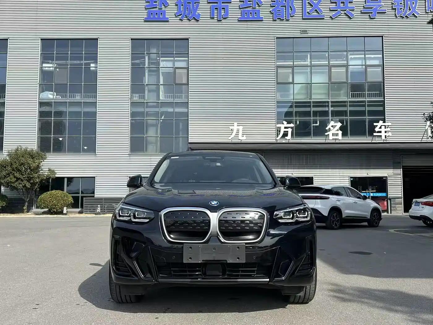 BMW IX3