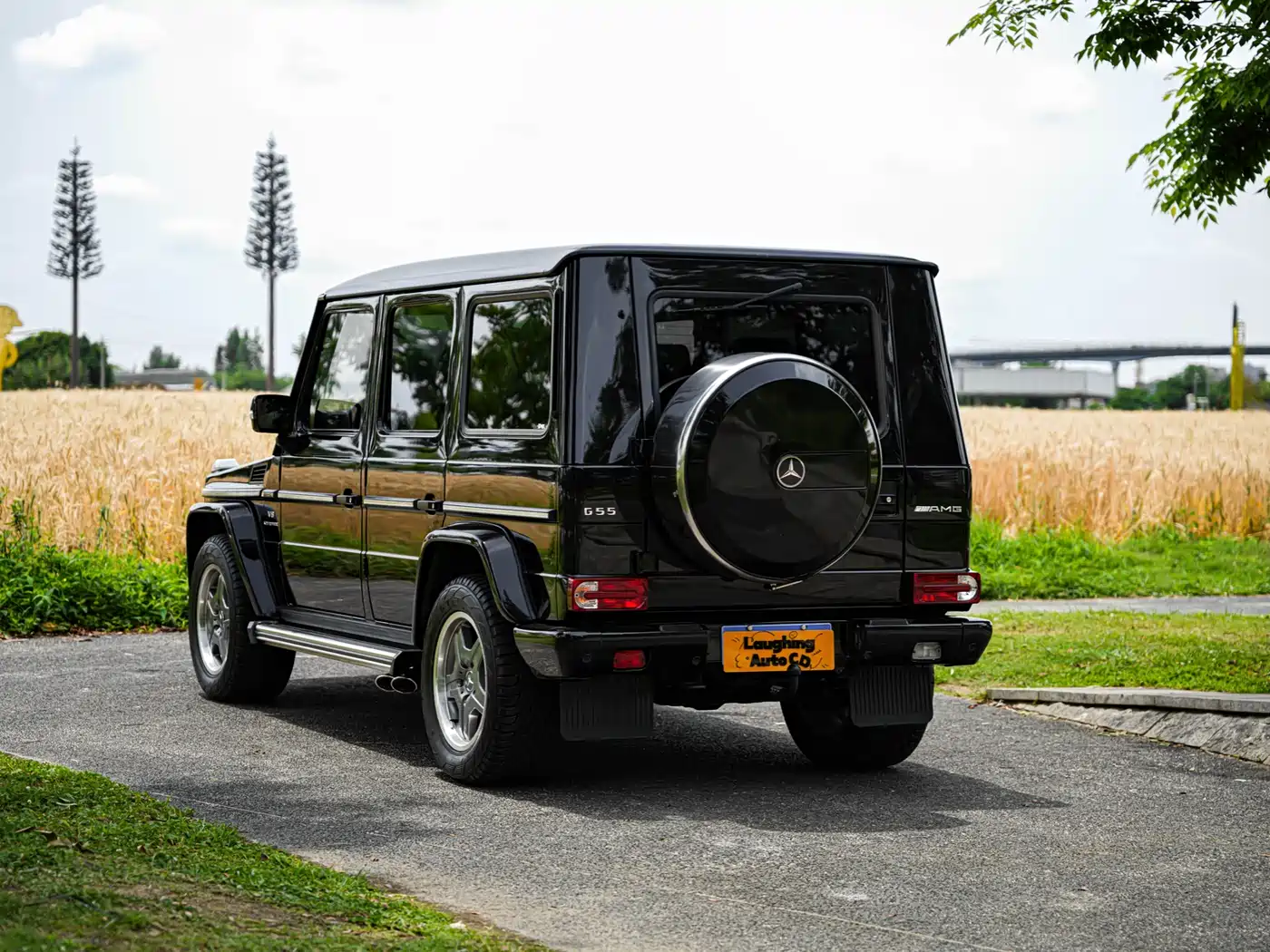 Mercedes-Benz G-Class AMG 2009 AMG G 55 фото 10