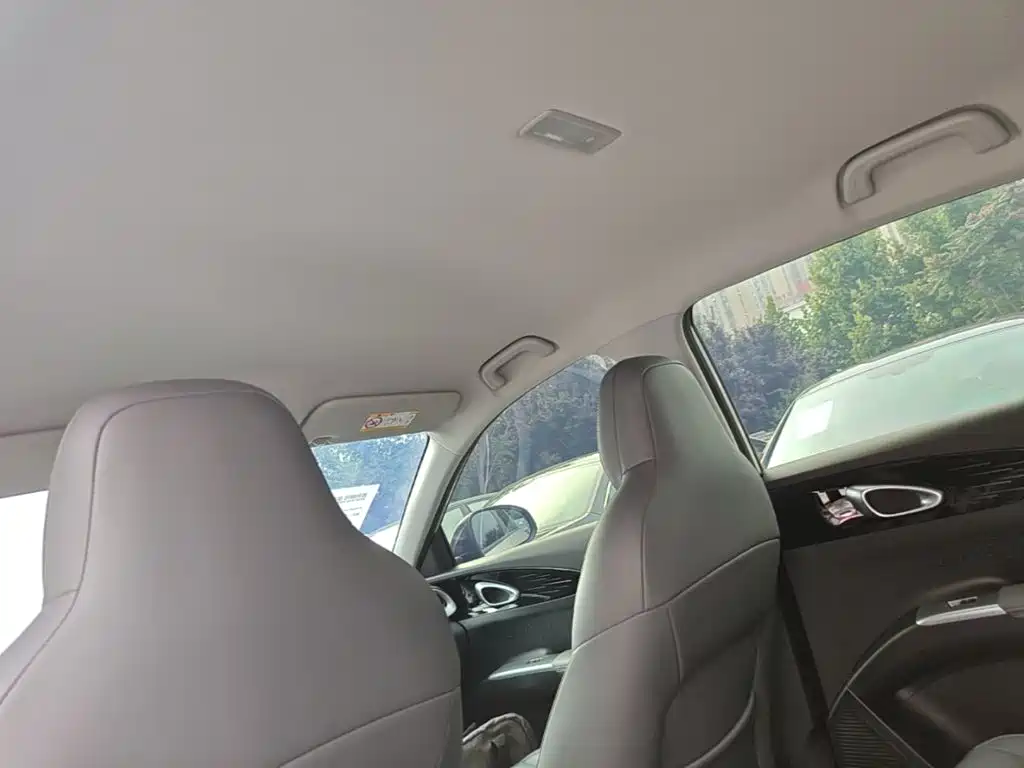 Geely Galaxy Starry Wish 2026 2026 Model 310km Dream Edition