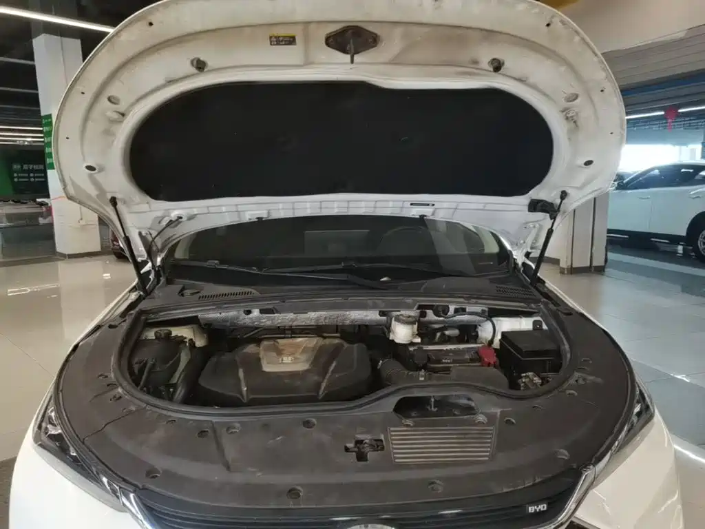 BYD Tang 2019 2018 2.0T Automatic Smart Connection Honor Edition 7-Seater China V