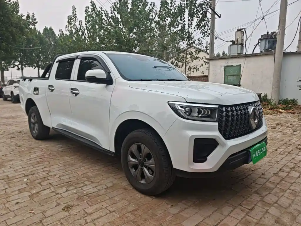 Фото 4 - Great Wall Pao