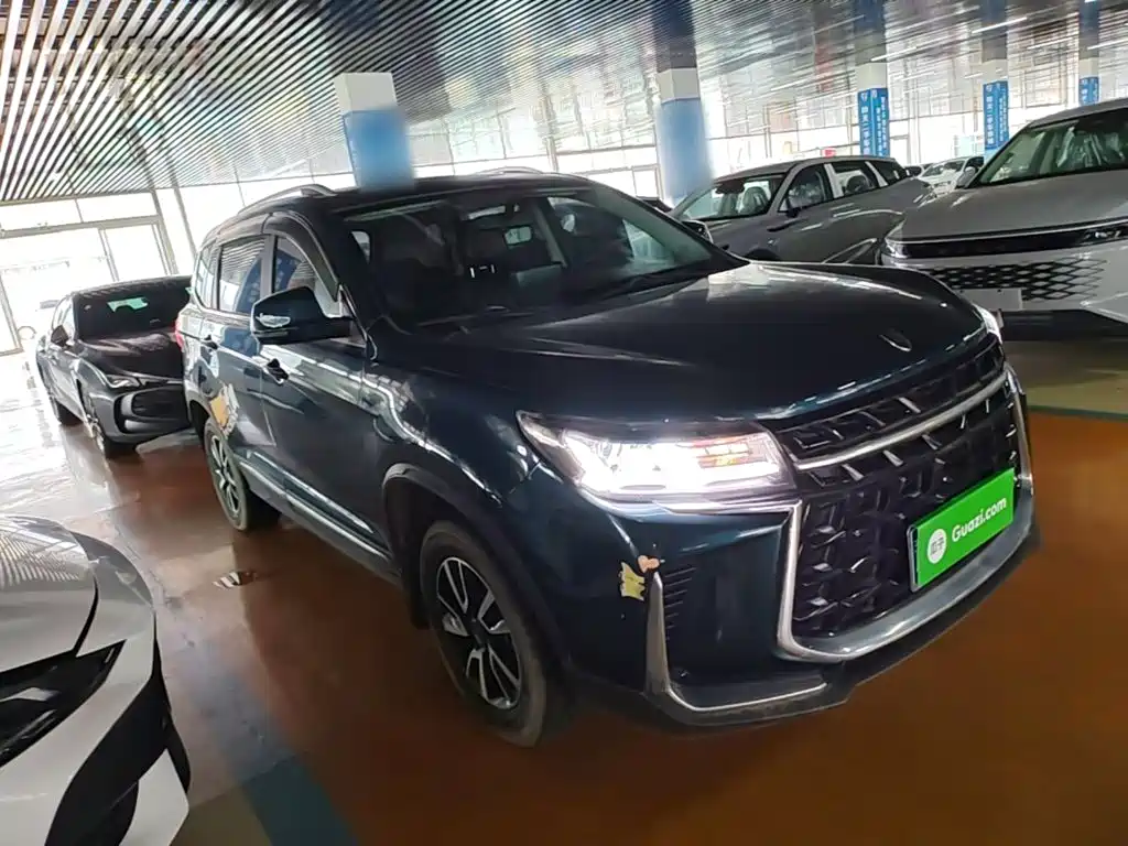Dongfeng Fengxing Fengxing T5 2023 2023 Golden Age 1.6L Manual Dream Chaser 5-Seater